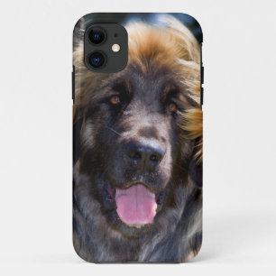 Capa Para iPhone 11 EUA, Califórnia. Retrato de Leonberger Sentado