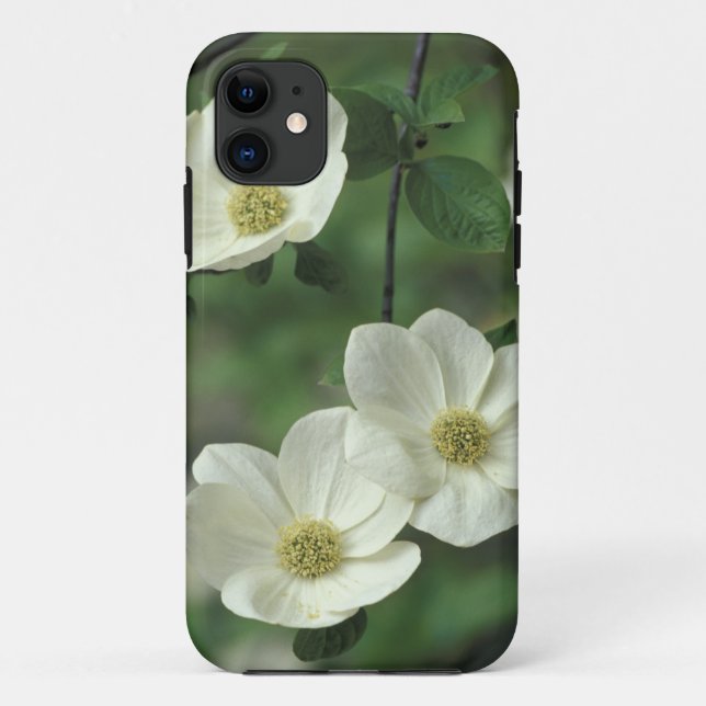 Capa Para iPhone 11 EUA, Califórnia, Yosemite NP, ao longo do Merced (Verso)