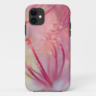 Capa Para iPhone 11 EUA, Carolina do Norte. Rhododendron de Catawba co