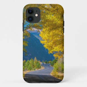 Capa Para iPhone 11 EUA, Colorado. Estrada Flanqueada por Álamo-Tremed