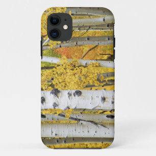 Capa Para iPhone 11 EUA, Colorado, Montanhas Rochosas. Álamo íntimo