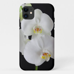Capa Para iPhone 11 EUA, Geórgia, Savannah, Aglomerado de Orquídeas