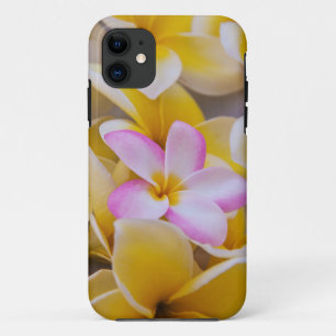 Capa Para iPhone 11 EUA, Havaí, Oahu, Flores de Plumeria em flor 1