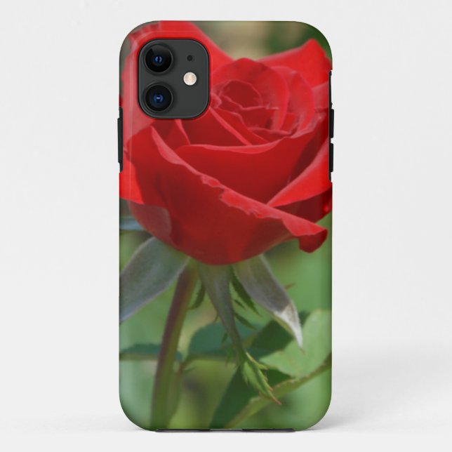 Capa Para iPhone 11 EUA, Kansas, Rosa Vermelha (Verso)