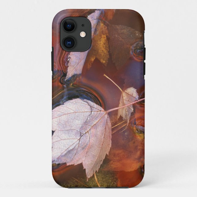 Capa Para iPhone 11 EUA, Nordeste, Folhas de outono em poça com (Verso)