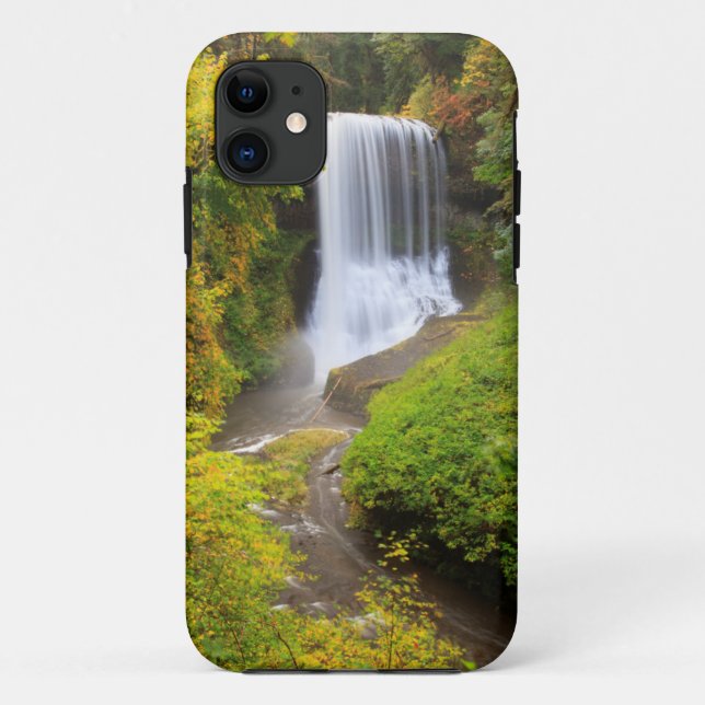 Capa Para iPhone 11 EUA, Oregon, Parque Estadual Silver Falls 3 (Verso)