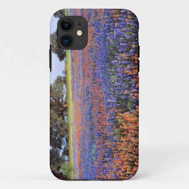 Capa Para iPhone 11 EUA, Texas, Llano. Bluebonnets e redbonnets (Verso)