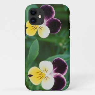 Capa Para iPhone 11 EUA, Utah, Cache Valley, Johnny Jump Up
