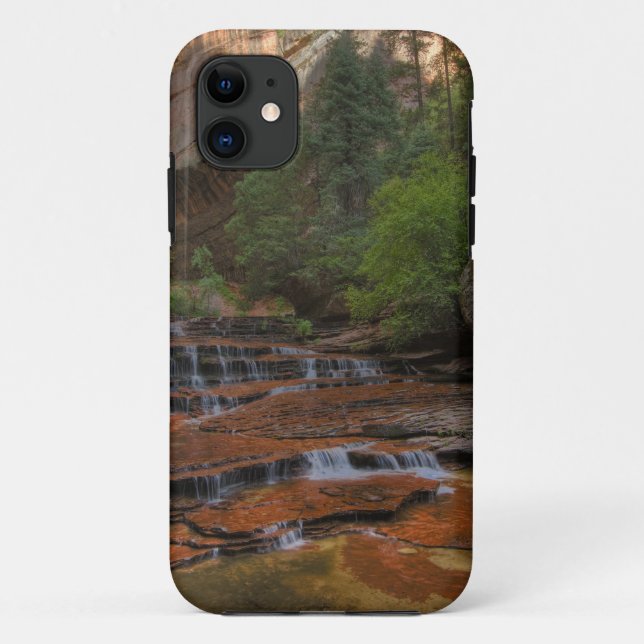 Capa Para iPhone 11 EUA, Utah, Zion National Park.  Scenic do (Verso)