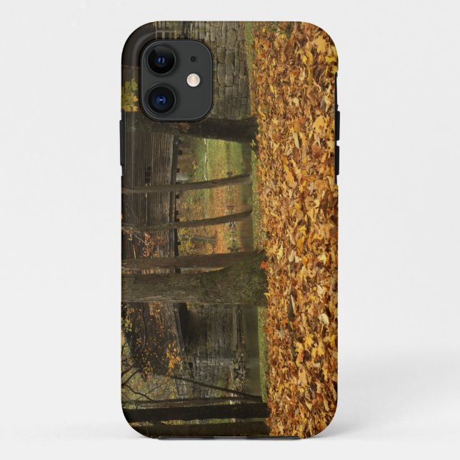 Capa Para iPhone 11 EUA, Virgínia, Covington, Humpback Coberta (Verso)