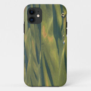 Capa Para iPhone 11 EUA, WA, Condado de Whitman, Campos da Fazenda Pal