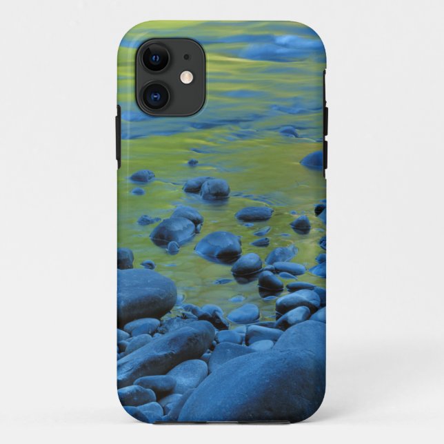 Capa Para iPhone 11 EUA, Washington, Parque Nacional Olímpico 4 (Verso)