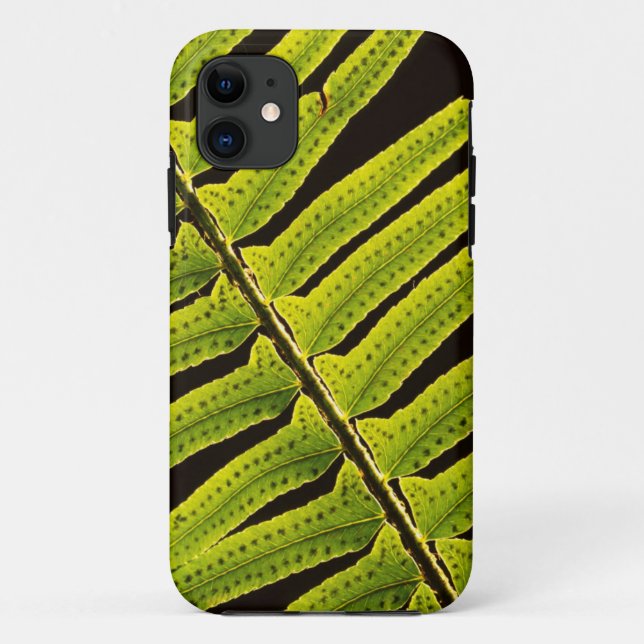 Capa Para iPhone 11 EUA, Washington, Parque Nacional Olímpico, Contral (Verso)