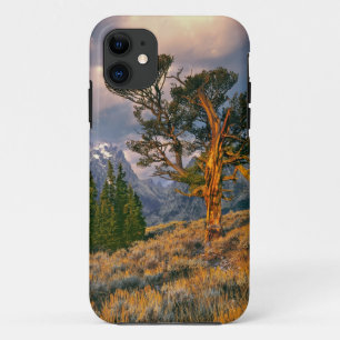 Capa Para iPhone 11 EUA, Wyoming, Grand Teton NP. O nascer do sol cump