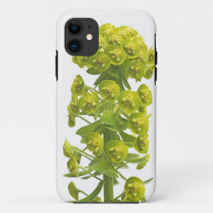Capa Para iPhone 11 Eufórbio