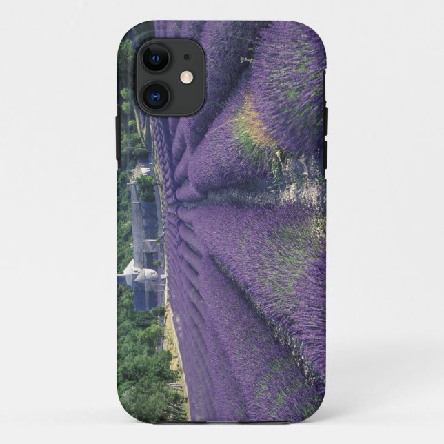 Capa Para iPhone 11 Europa, França, Provença. Campos de lavanda (Verso)