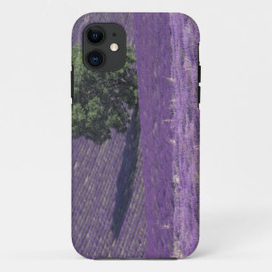 Capa Para iPhone 11 Europa, França, Provença, Sault, campos de Lavan