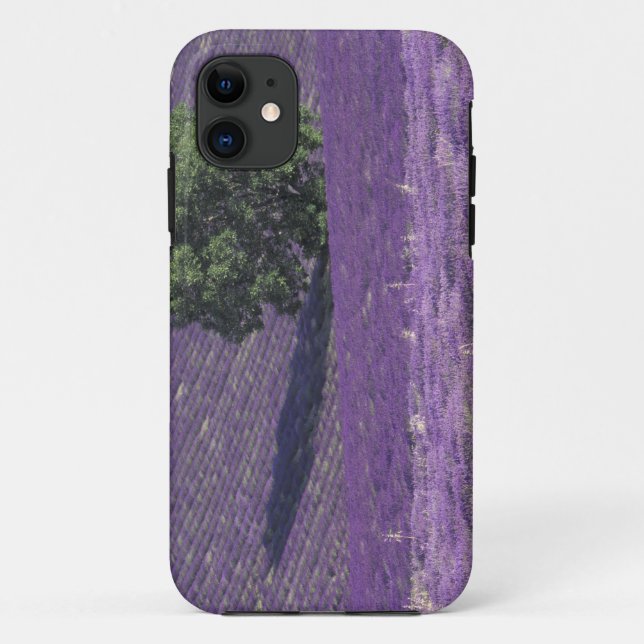 Capa Para iPhone 11 Europa, França, Provença, Sault, Campos de lavanda (Verso)