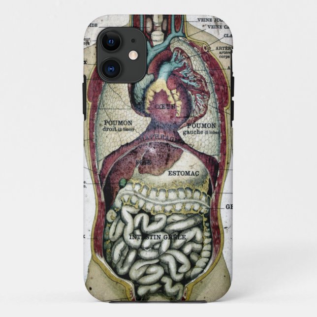 Capa Para iPhone 11 Exemplo francês da case mate da anatomia do (Verso)