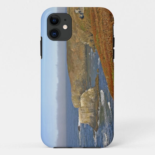 Capa Para iPhone 11 Farol de Yaquina Head em Newport Oregon (Verso)