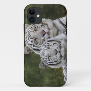 Capa Para iPhone 11 Fase branca, tigre-de-bengala, Tigris