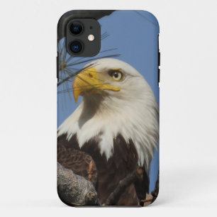 Capa Para iPhone 11 Feche a Cabeça da Águia Balda