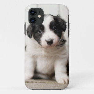 Capa Para iPhone 11 Filhote de cachorro de border collie