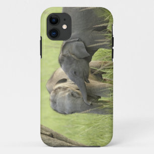 Capa Para iPhone 11 Filhotes de Elefante Indiano / Asiático