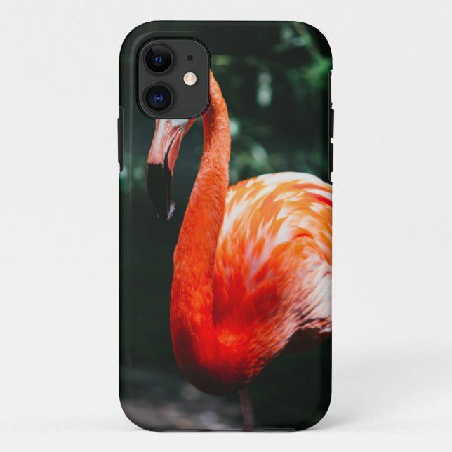Capa Para iPhone 11 Flamingo (Verso)