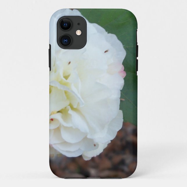 Capa Para iPhone 11 flor branca hibiscus mutabilis (Verso)
