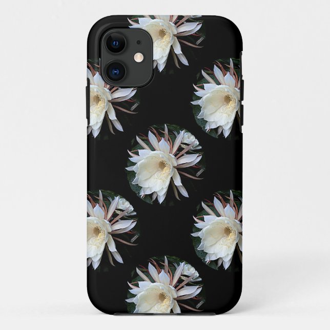 Capa Para iPhone 11 Flor de Cacto Epífita (Verso)