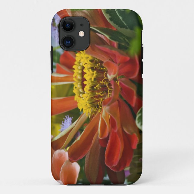 Capa Para iPhone 11 Flor de crisântemos (Verso)