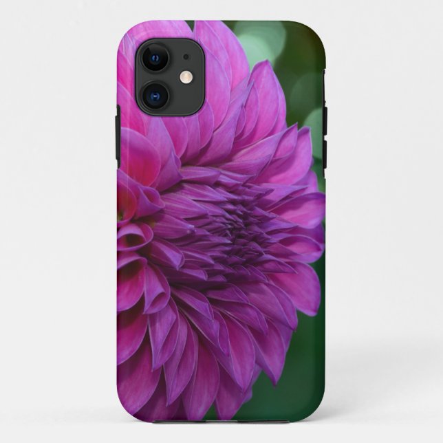 Capa Para iPhone 11 Flor de dália roxa (Verso)
