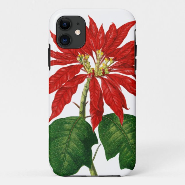 Capa Para iPhone 11 Flor de Natal (Verso)
