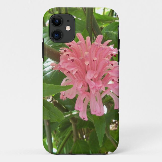 Capa Para iPhone 11 Flor de pluma brasileira (Verso)