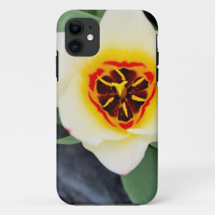 Capa Para iPhone 11 Flor de tulipa