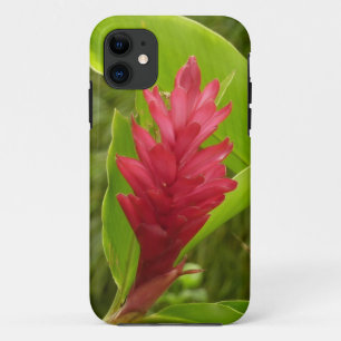 Capa Para iPhone 11 Flor Vermelho Ginger (Alpinia)