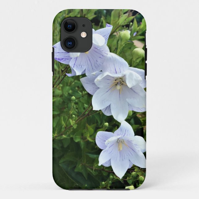 Capa Para iPhone 11 Flores em Chateau Morrisette Winery, Floyd, VA (Verso)