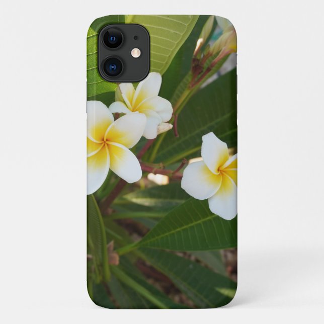 Capa Para iPhone 11 Flores Fragrantes Frangipani (Verso)