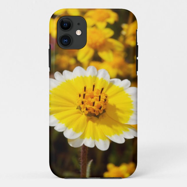 Capa Para iPhone 11 Flores Silvestres Tidy Tip (Verso)
