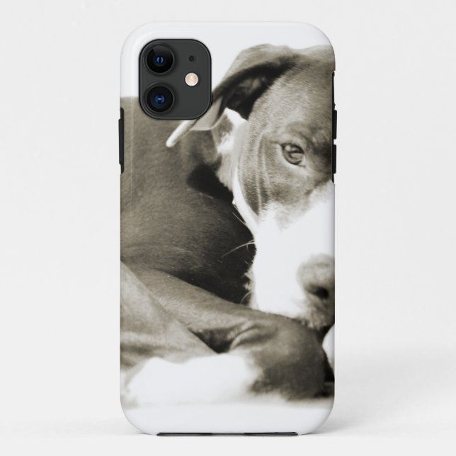 Capa Para iPhone 11 fofo cachorro pit bull sonolento e preguiçoso (Verso)