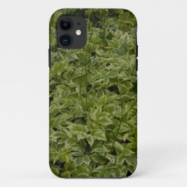 Capa Para iPhone 11 Folhagem