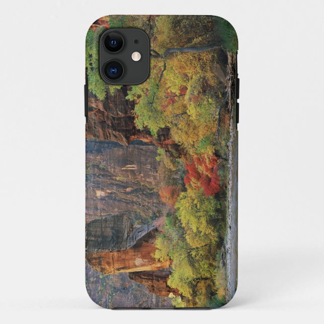 Capa Para iPhone 11 Folhagem de outono ao longo do rio Virgin perto do (Verso)