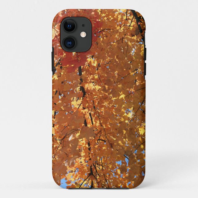 Capa Para iPhone 11 Folhas do Autumn Maple (Verso)