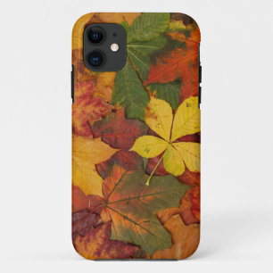 Capa Para iPhone 11 Folhas do outono