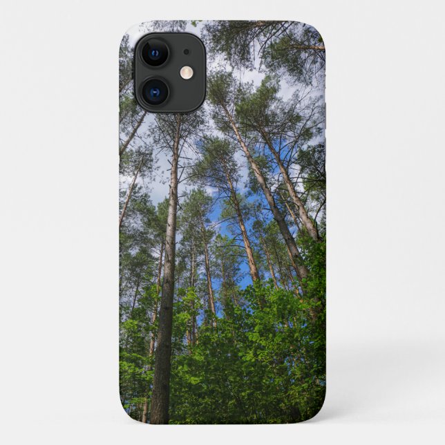 Capa Para iPhone 11 Forest Trees Sky Belarus Nature iPhone 11 Caso (Verso)