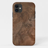 Fóssil do Archaeopteryx - Casemate