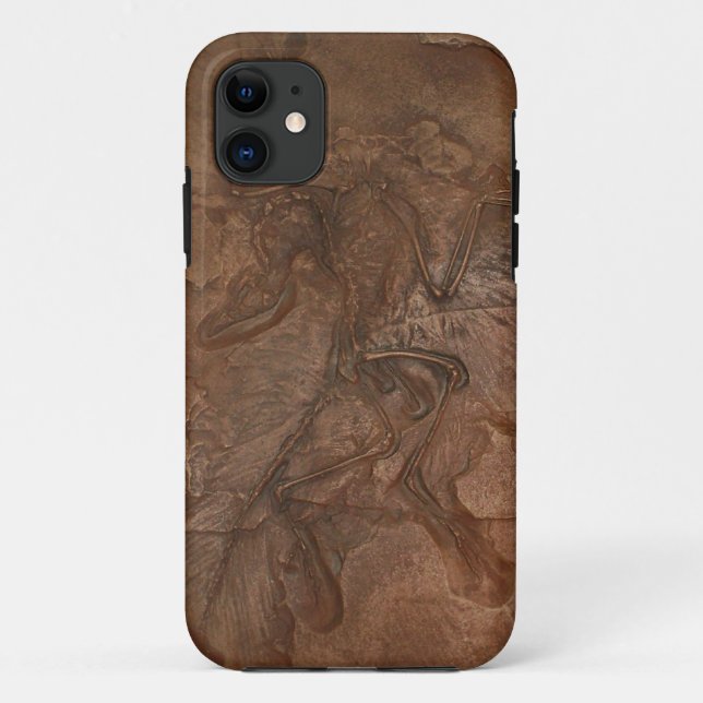 Capa Para iPhone 11 Fóssil do Archaeopteryx - Casemate (Verso)