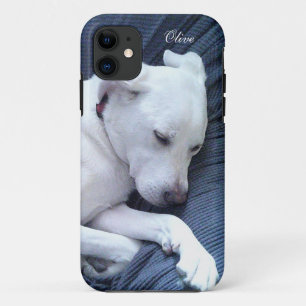 Capa Para iPhone 11 Foto bonita do branco doce Labrador misturando cã