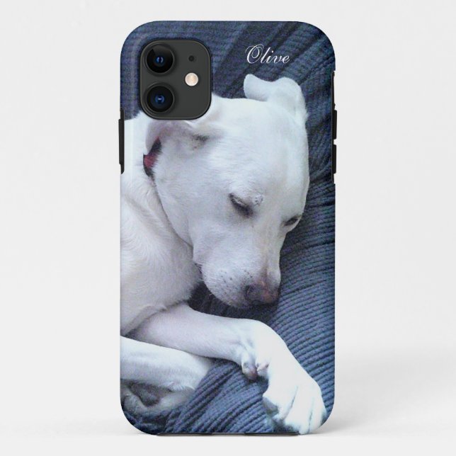 Capa Para iPhone 11 Foto bonita do branco doce Labrador misturando cão (Verso)